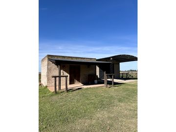 Campo en venta. 225 Has ganaderas con Excelente mejoras