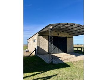 Campo en venta. 225 Has ganaderas con Excelente mejoras