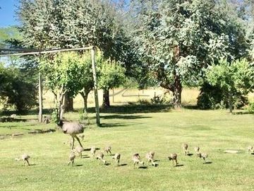 Casa en Venta en Estancia Benquerencia, San Miguel del Monte, Resto de la Provincia, Buenos Aires, Argentina