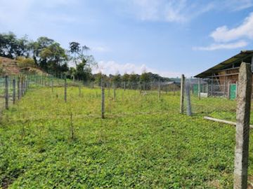 VENTA de FINCAS en PEREIRA