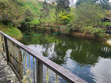 VENTA de FINCAS en PEREIRA