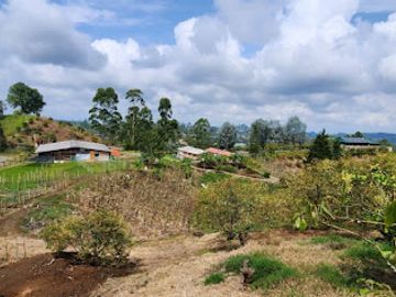 VENTA de FINCAS en PEREIRA