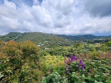 VENTA de FINCAS en PEREIRA
