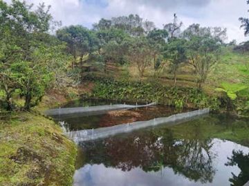 VENTA de FINCAS en PEREIRA