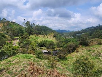 VENTA de FINCAS en PEREIRA