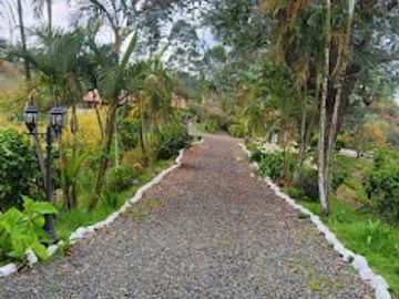 VENTA de FINCAS en PEREIRA
