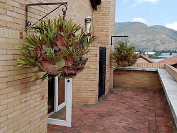 VENTA de CASAS en CHIA