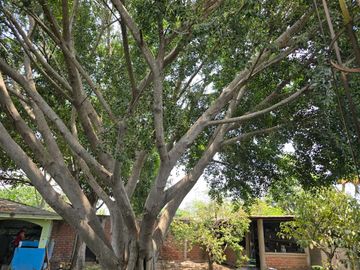 Terreno en venta en Tecomán con edificaciones Habitacionales y uso comercial