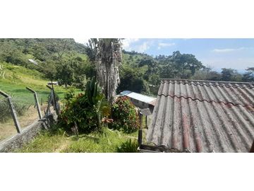 VENTA FINCA GANADERA O AGROTURISTICA SECTOR CALARCA
