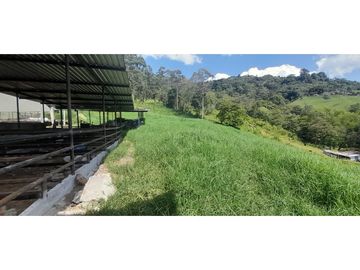 VENTA FINCA GANADERA O AGROTURISTICA SECTOR CALARCA