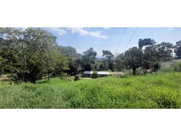 VENTA FINCA GANADERA O AGROTURISTICA SECTOR CALARCA