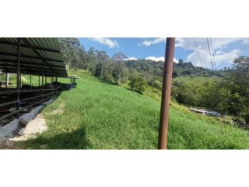 VENTA FINCA GANADERA O AGROTURISTICA SECTOR CALARCA