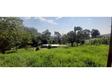 VENTA FINCA GANADERA O AGROTURISTICA SECTOR CALARCA
