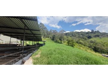 VENTA FINCA GANADERA O AGROTURISTICA SECTOR CALARCA