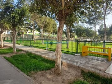 Casas Venta CAL. 14 - LOS OLIVOS