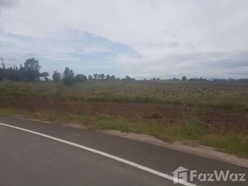 Land for sale in Mae Pa, Tak