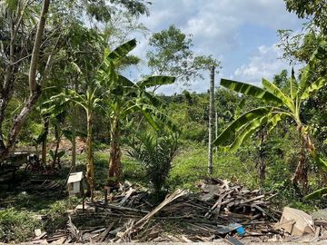Land for sale in Huai Yot, Trang
