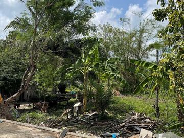 Land for sale in Huai Yot, Trang