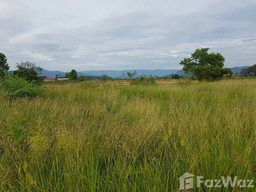 Land for sale in Phrommani, Nakhon Nayok