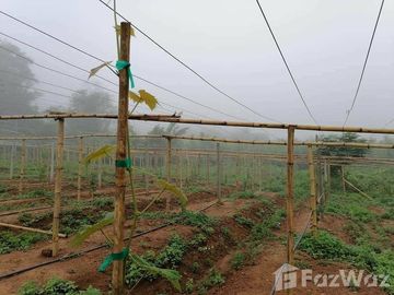 Land for sale in Soi, Phrae