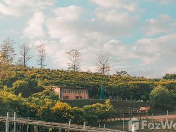 Land for sale in Soi, Phrae