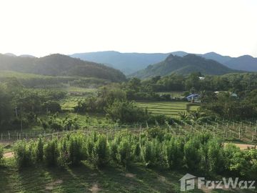 Land for sale in Soi, Phrae