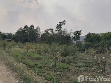 Land for sale in Soi, Phrae