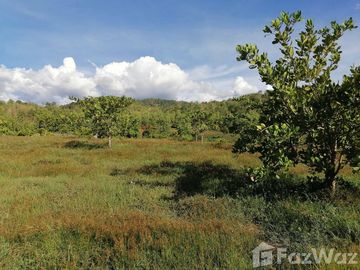 Land for sale in Soi, Phrae