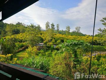 Land for sale in Soi, Phrae