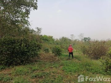 Land for sale in Soi, Phrae