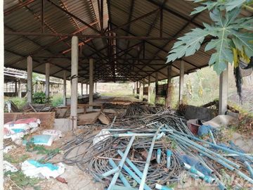 Land for sale in Soi, Phrae