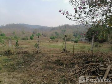 Land for sale in Soi, Phrae