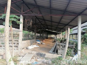 Land for sale in Soi, Phrae