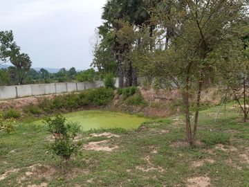 2 Bedroom House for sale in Wang Thong, Phitsanulok