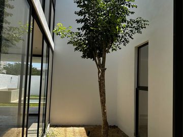 Vive dentro de privada en casa Smart. | Cuenta con estudio