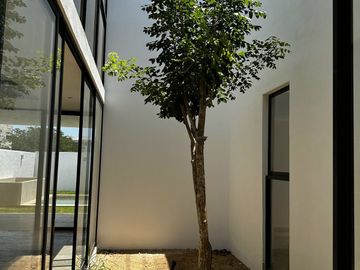 Vive dentro de privada en casa Smart. | Cuenta con estudio