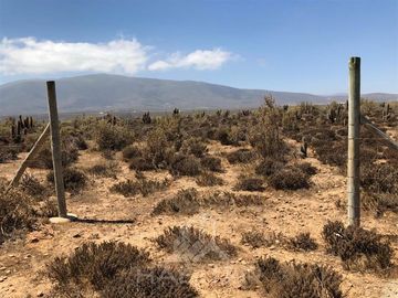 Sitio en Venta en https://maps.app.goo.gl/hfGPivweEJGy4----