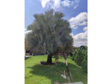 SE VENDE CASA CAMPESTRE EN CONJUNTO CERRADO EN CERRITOS