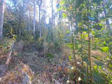 Parcela en Venta en Kilometro 16,5 camino Pedregoso