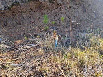 Parcela en Venta en Kilometro 16,5 camino Pedregoso