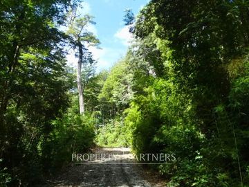¡Oportunidad! Terreno 1,4 Ha. en Huilo Huilo