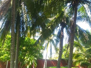 VENTA DE QUINTA CON PALAPA EN CABEZA DE TORO, CHIAPAS