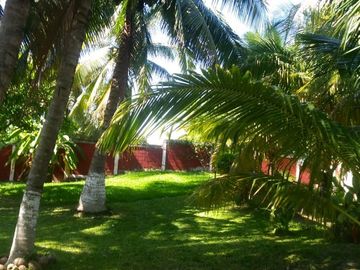 VENTA DE QUINTA CON PALAPA EN CABEZA DE TORO, CHIAPAS