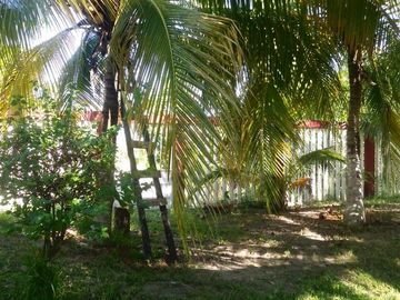 VENTA DE QUINTA CON PALAPA EN CABEZA DE TORO, CHIAPAS