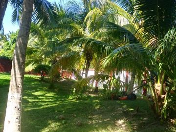 VENTA DE QUINTA CON PALAPA EN CABEZA DE TORO, CHIAPAS