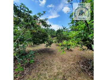 ref 900a villa del prado/pavas/vendo casa campestre