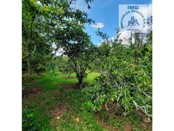 ref 900a villa del prado/pavas/vendo casa campestre