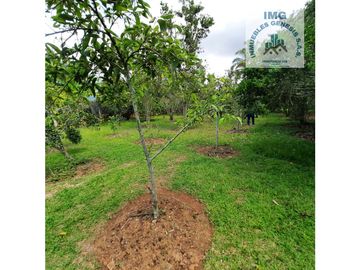 ref 900a villa del prado/pavas/vendo casa campestre