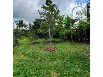 ref 900a villa del prado/pavas/vendo casa campestre