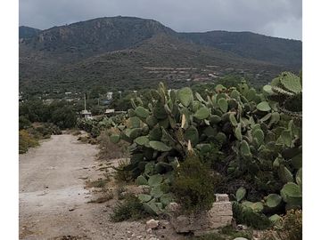 Terreno San Juan TIlcuautla, mpio. de San Agustín Tlaxiaca, Hgo.